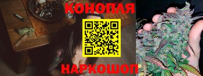 стаф Гусев