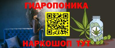 стаф Гусев