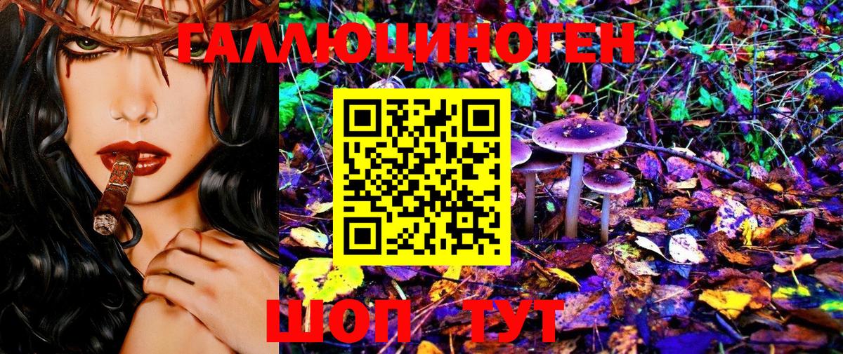 Галлюциногенные грибы Psilocybine cubensis Мелеуз